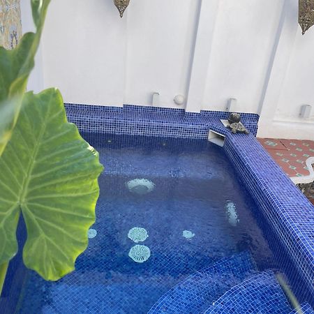Smeraldino Lacco Ameno  Ngoại thất bức ảnh